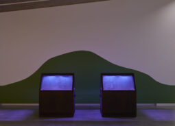 Image of two wooden cabinets with glowing UV lights within infront of a white gallery wall painted wth a green hill shape
