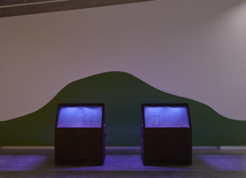 Image of two wooden cabinets with glowing UV lights within infront of a white gallery wall painted wth a green hill shape
