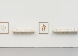 White gallery wall with two shelves with concertina books stood upright opened up. Wall next to each shelf has a print, on the left leaves and the right one has bark