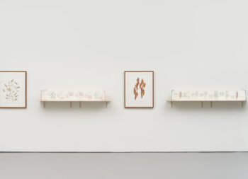 White gallery wall with two shelves with concertina books stood upright opened up. Wall next to each shelf has a print, on the left leaves and the right one has bark