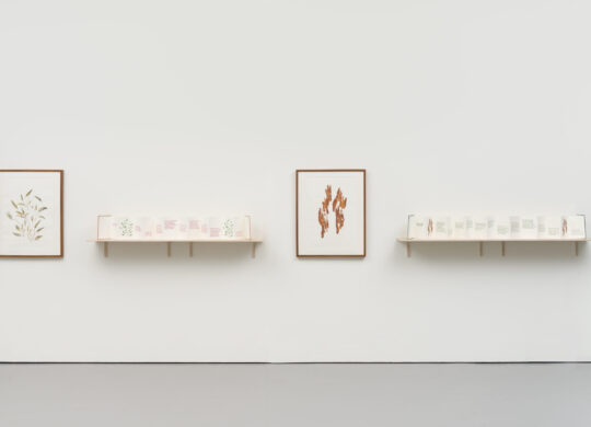 White gallery wall with two shelves with concertina books stood upright opened up. Wall next to each shelf has a print, on the left leaves and the right one has bark